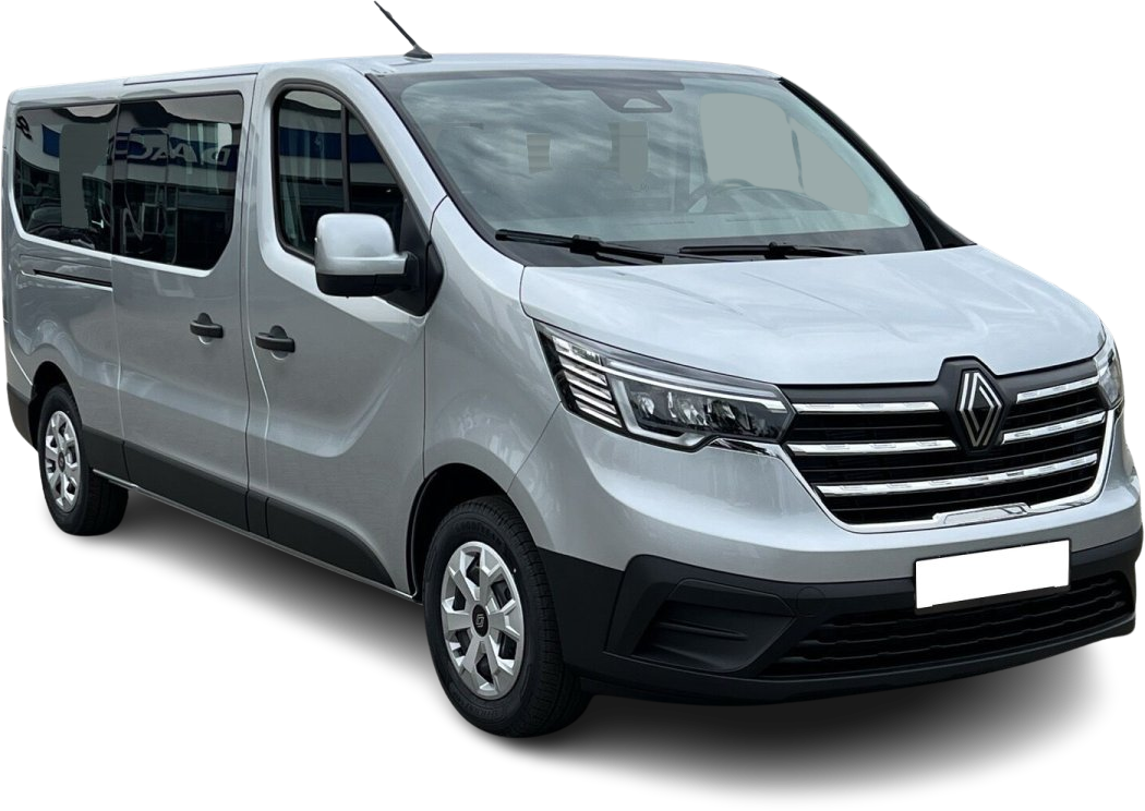 Renault Trafic dCi 150 L2H1 + Rollstuhlbefestigung